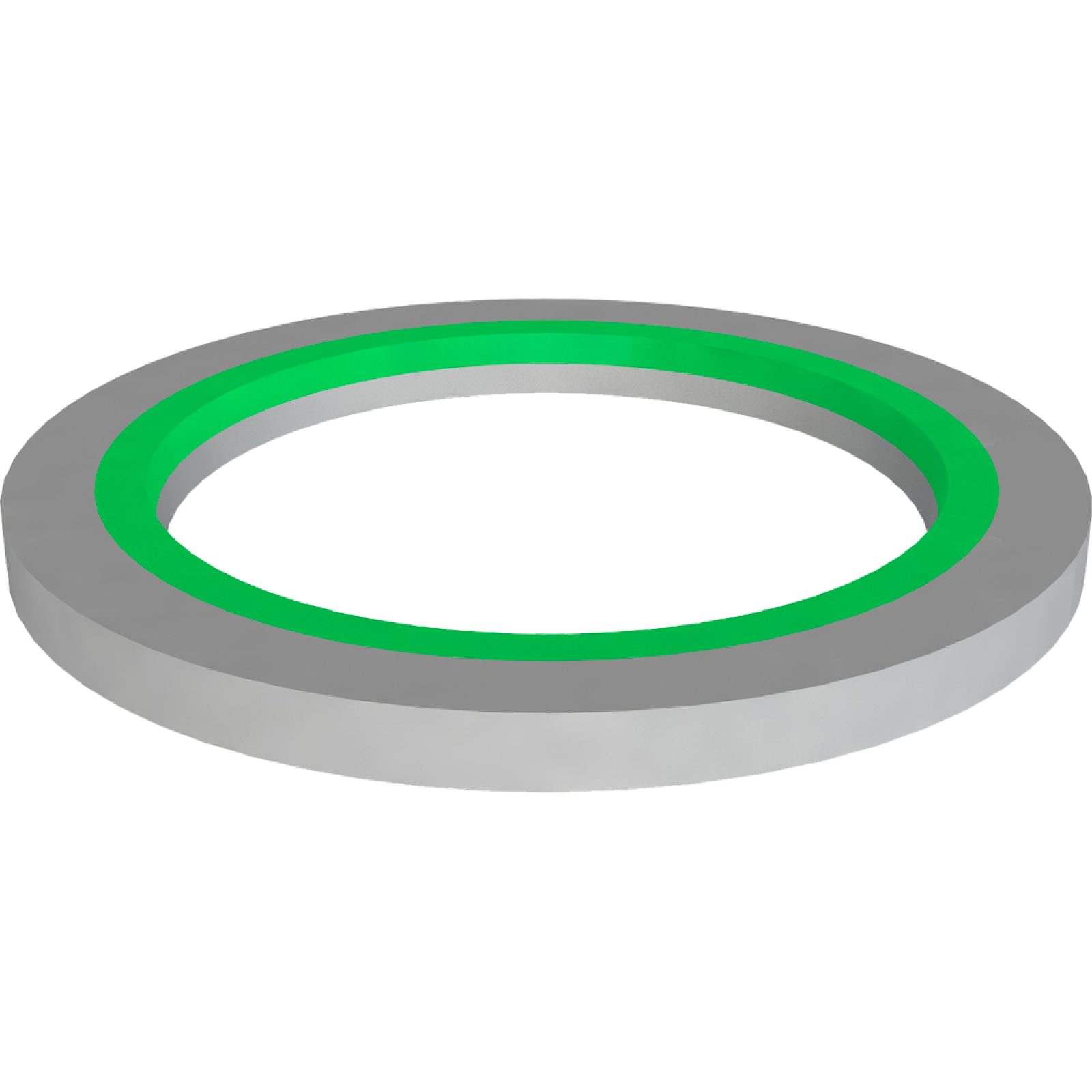 GUARNIZIONE PIANA "BI-POWER" 1"1/2 x Ø40 mm